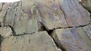 Путешествие на Алтай. Урочище Калбак-Таш. Петроглифы. Слияния рек Чуи и Катуни.