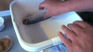РЕЦЕПТ ПРИГОТОВЛЕНИЯ СКУМБРИИ   ЧИСТИМ СКУМБРИЮ не РАЗРЕЗАЯ ЖИВОТА