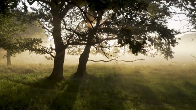 🌞Это утро - оно для тебя 🌞 Влад Коста /читает Юлия Гурьева 🌞 смотреть онлайн