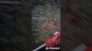 АЛЬФА XXL, ПРЯМОТОЧНЫЙ ГЛУШИТЕЛЬ ИЗ ОГНЕТУШИТЕЛЯ С ЗАДЕРЖКОЙ ВЫХЛОПА И СРАВНЕНИЕ МАЕТНИКОВ