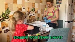 Посев семян в марте