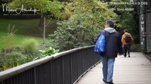 Sony 70-350 F4.5-6.3 G OSS on Sony A6600