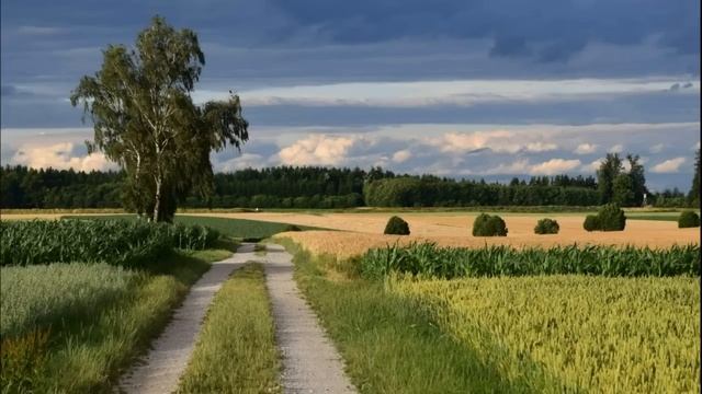 ? Новый рассказ?ТОСКА О СЧАСТЬЕ. Часть 2? ЛЮБОВЬ ПАВЛЮК. Христианские рассказы. Истории из жизни.