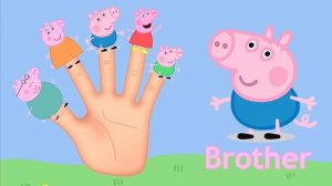 Peppa pig|The Finger Family Song|Nursery Rhymes| Пеппа| Семья пальчиков