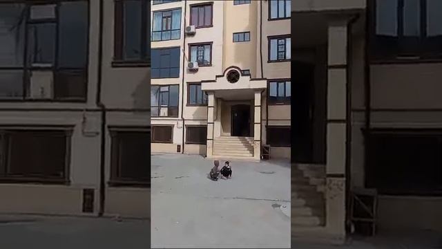 Дорога до 24 квартиры смотреть онлайн