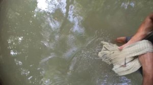 Рыбалка на Лесной речке! Кастинговая сеть!