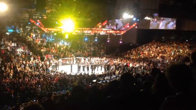 Jon Bones Jones vs Glover Texiera UFC 172  desicion and interview