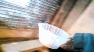 Распилочная циркулярная пила в Деле!!!Собираю яйца от наших курочек