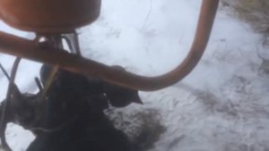 Бензопила дружба 4