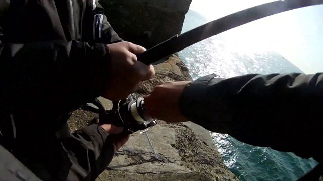 В Мире Животных смотреть онлайн