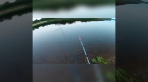 Рыбалка на Пинеге)?