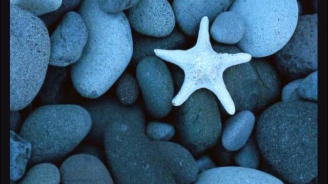 Carlos rios cool guitar part смотреть онлайн