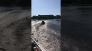 Катер Blues 430 мотор Suzuki 50 4-х тактный