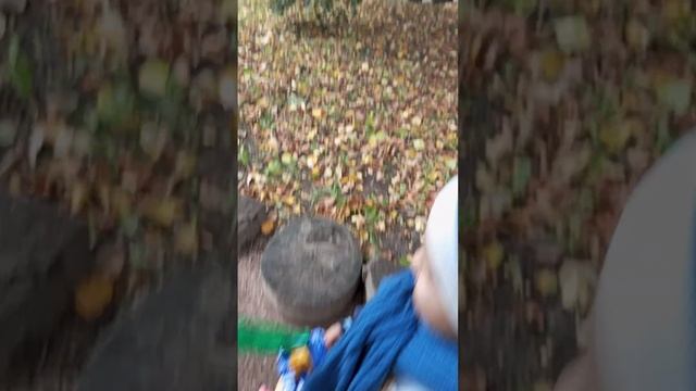 СМОТРИ КАКОЙ ХВОСТ? ДИНОПАРК/ПАРК ИМЕНИ БАБУШКИНА смотреть онлайн