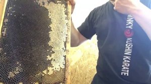 Вилка культиватор. Распечатка медовых сот