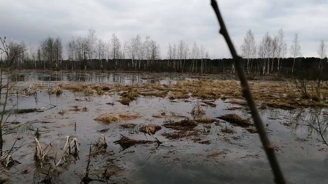 Охота на уток и гусей/ ОХОТА НА ГУСЯ НА ВЕЧОРКЕ / ОХОТА НА СЕЛЕЗНЯ/HUGLU смотреть онлайн