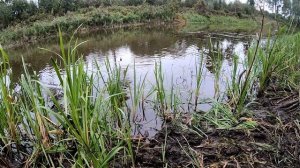 РЫБАЛКА НА КАРПА В СЕНТЯБРЕ! РЫБАЛКА НА ПОПЛАВОК И ФИДЕР