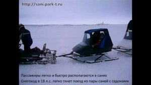 Сани Метелица