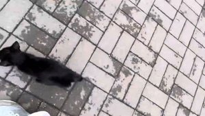 ЕЛАБУГА/ СТОИТ ЭТО ЗНАТЬ ПЕРЕД ТЕМ КАК ЕХАТЬ В ЭТОТ ГОРОД