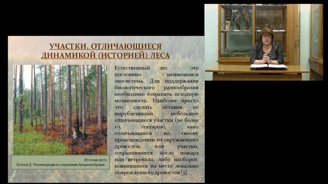 Видеолекция № 7 по теме: Ключевые биотопы" смотреть онлайн