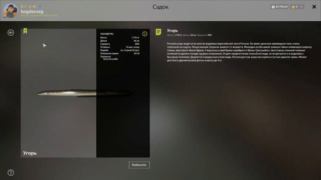 Русская Рыбалка 4. оз. Старый Острог, угорь. смотреть онлайн