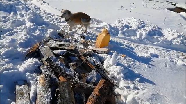 Никто не знает сколько он ещё проживёт смотреть онлайн