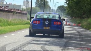BEST OF Ford Mustang Sounds ! Alphamale Widebody, 400HP Ecoboost Mustang, GT350R, Roush Mustang