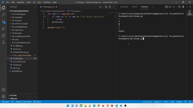 14 | Input Output in Python | Control Statements in Python | Break and Continue in Python | Hindi M