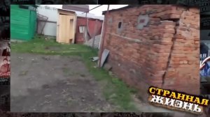 Неадекватные соседи на даче! Битва за грядки, треш вокруг участка, и драки с пьяными быдло!