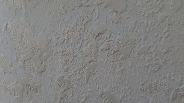 Купили дом в деревне. Крашу полы . Не могу выбрать цвет на стены зала.#ремонтдома