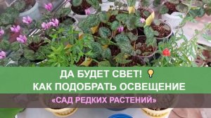 Освещение для растений. Как и зачем его измерять в цветоводстве