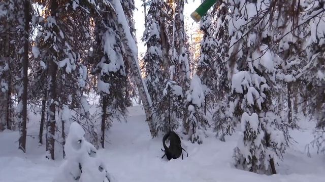 Иж. 16 калибр.стреляем в сушину. смотреть онлайн