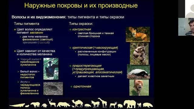 Проект «Университетский лицей»: ЕГЭ по биологии. Млекопитающие