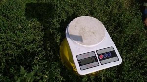 Вес Голошейки в 30 дней | наш гибрид Голошейки