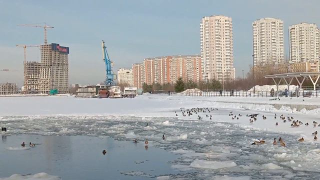 Причал "Печатники" 28 февраля 2024г. смотреть онлайн