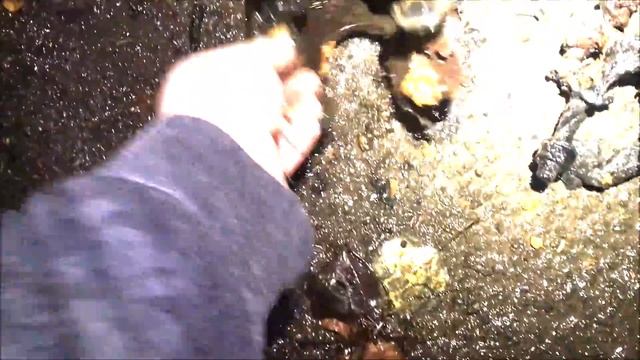 Magnet fishing glasgow in search of a samurai sword bikes scooters & more at a dumping ground смотреть онлайн