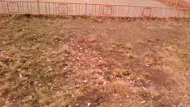 Детский двор в Иркутске смотреть онлайн