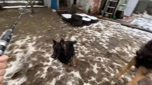 ПЕРВЫЙ СНЕГ В ЖИЗНИ ДЖЕССИНДЫ ПРЯНИКОВОЙ смотреть онлайн