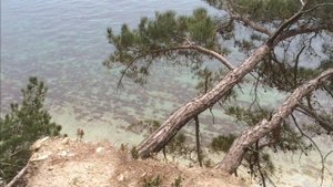 Архипо-Осиповка/Правый мыс/Кемпинг