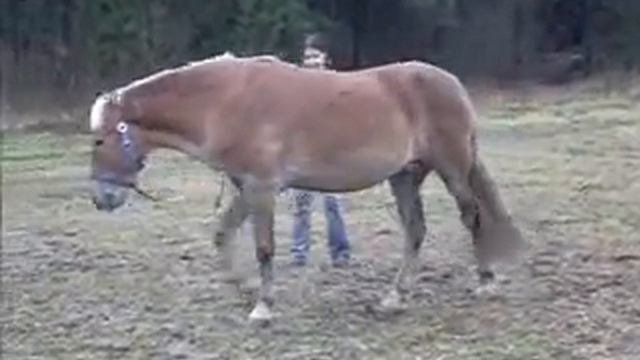 Вспоминаем старые уроки смотреть онлайн