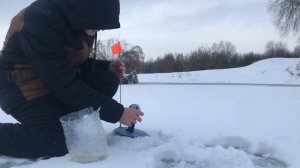 Зимняя рыбалка на ОКЕ. Ловлю В МЕТРЕ от берега. Первый лед 23-24. Ловля окуня и плотвы зимой