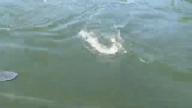 Камчатка 2009 серия 1 смотреть онлайн