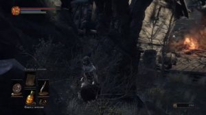 Поселение Нежити ● Полное прохождение Dark Souls 3 | Глава 4