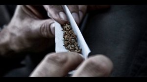 женя сибиряк - трава