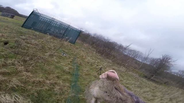 Outbreak - Sunrise Ferreting 5 смотреть онлайн