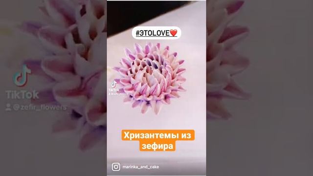 Хризантемы из зефира #zefirflowers