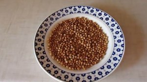 Семена черешни   подготовка посадка