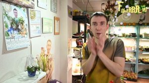 Зимовка и освещение хищных растений