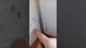 клеим пластиковую дверь