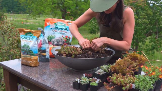 Planting a SUCCULENT "Buddha Bowl" — Ep. 327 смотреть онлайн